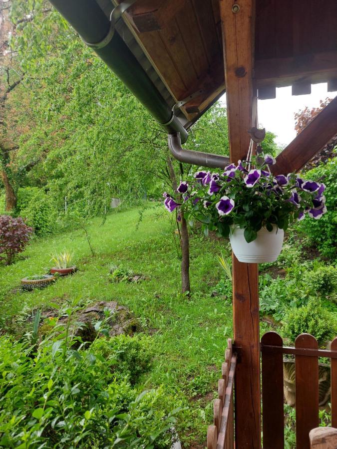 Kuca Za Odmor Anamarija Villa Ogulin Eksteriør billede